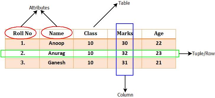 Relational Data Model : Example